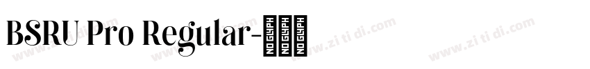 BSRU Pro Regular字体转换 BSRU Pro Regular字体转换